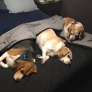 Meet your Posher, Connie